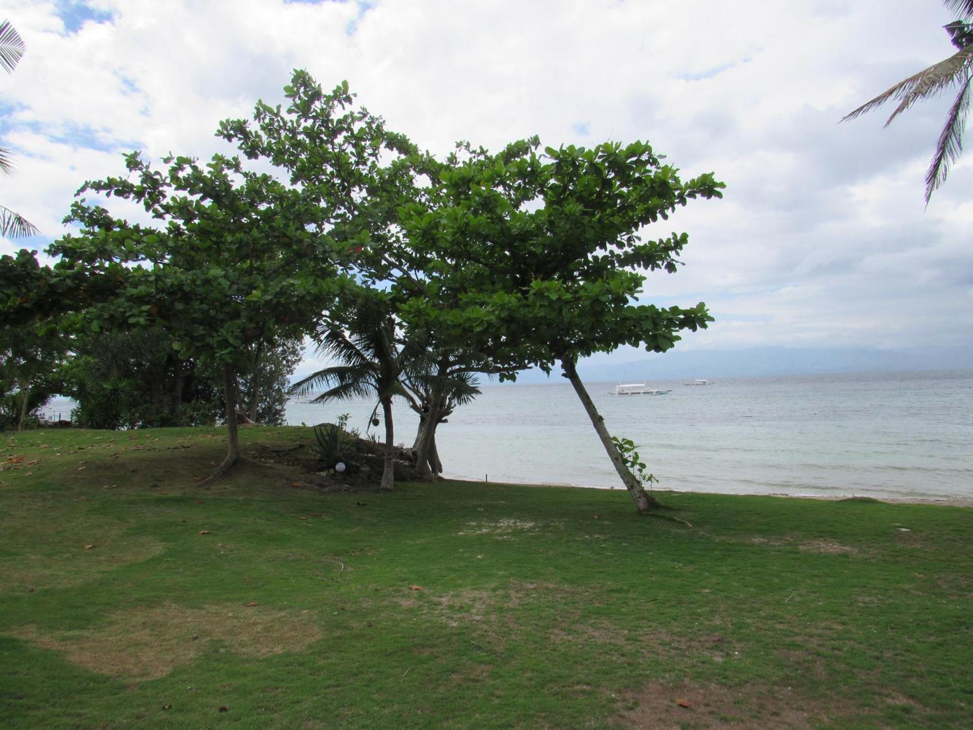 Dacozy Beach Resort Moalboal Ngoại thất bức ảnh